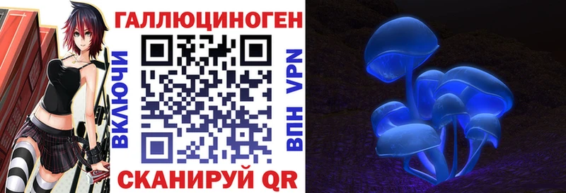 KRAKEN маркетплейс  Узловая  Псилоцибиновые грибы Psilocybe 